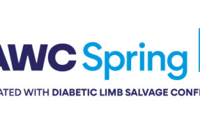 SAWCS-WHS-DLS_Logo-HorizText_4C_0